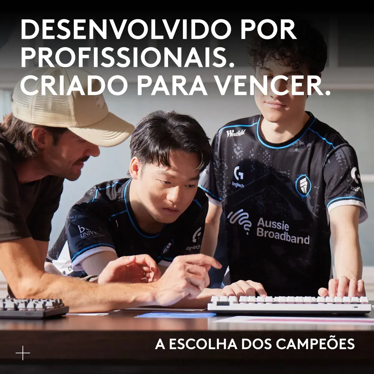 Imagen de ilustracion